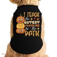 I Teach The Cutest Pumpkins In The Patch Rainbow Girls Boys Doggie Tank thumb 0