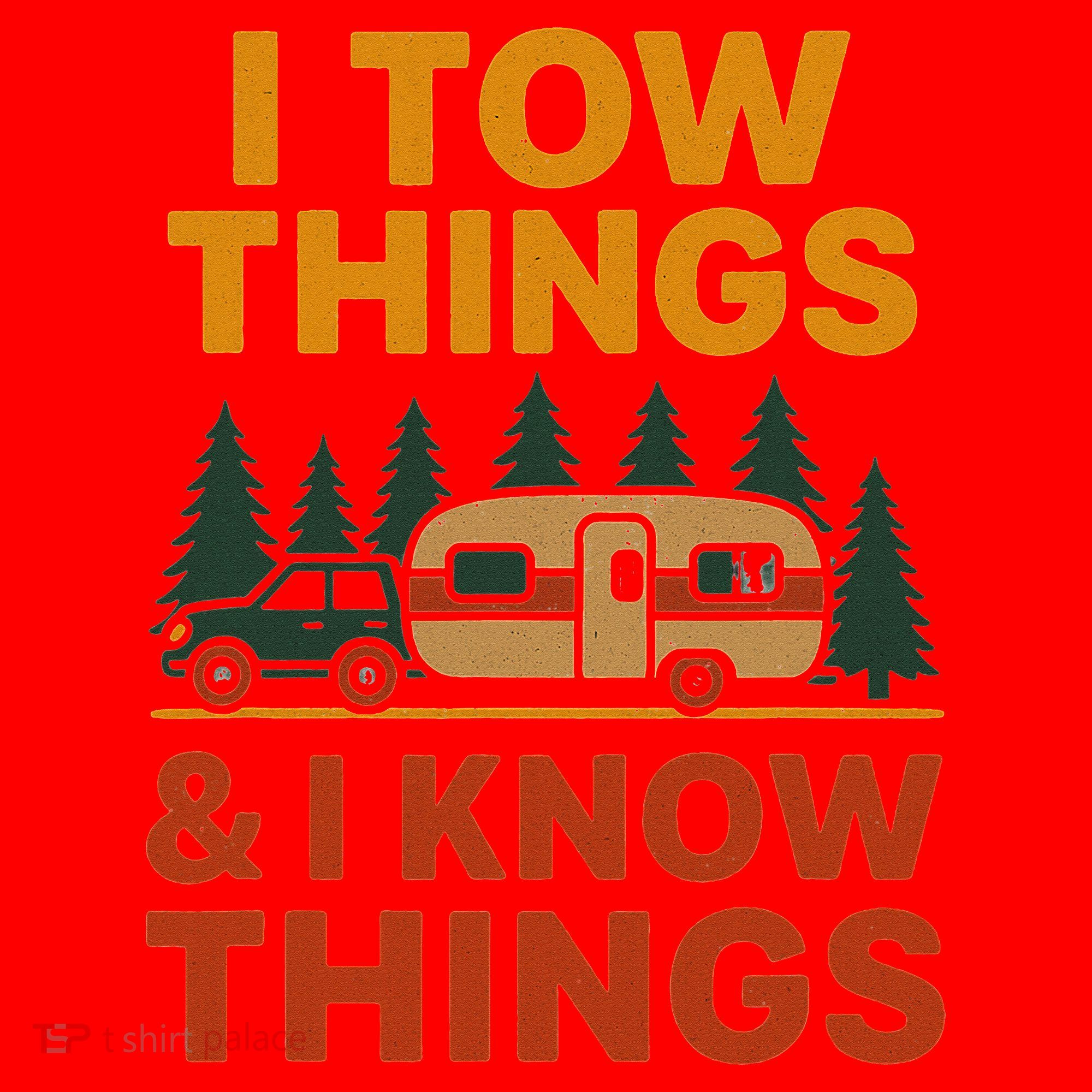 I Tow Things And I Know Things Santa Hat
