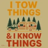 I Tow Things And I Know Things Hoodie thumb 2