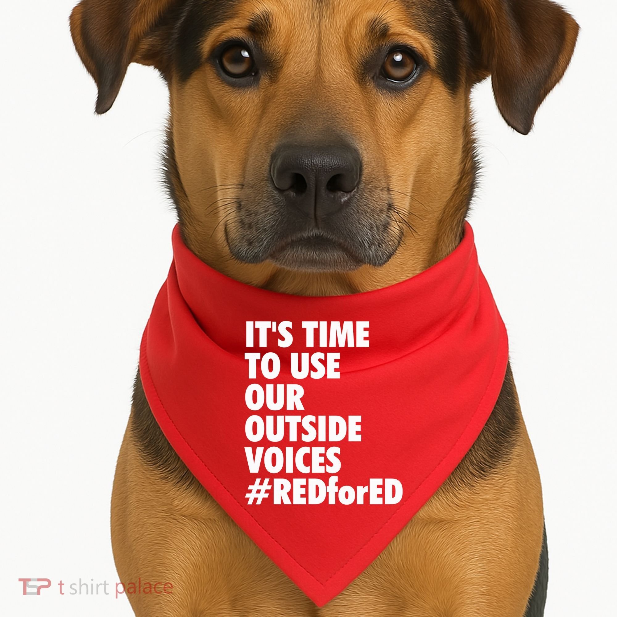 ItS Time To Use Our Outside Voice Red For Ed USA-Made Doggie Bandana