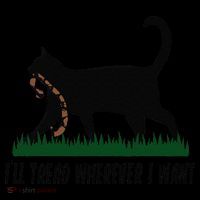 ILl Tread Wherever I Want Cat Ladies For Kamala Funny Gift Coffee Mug thumb 5