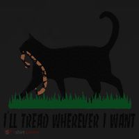 ILl Tread Wherever I Want Cat Ladies For Kamala Funny Gift Women's Hoodie thumb 2