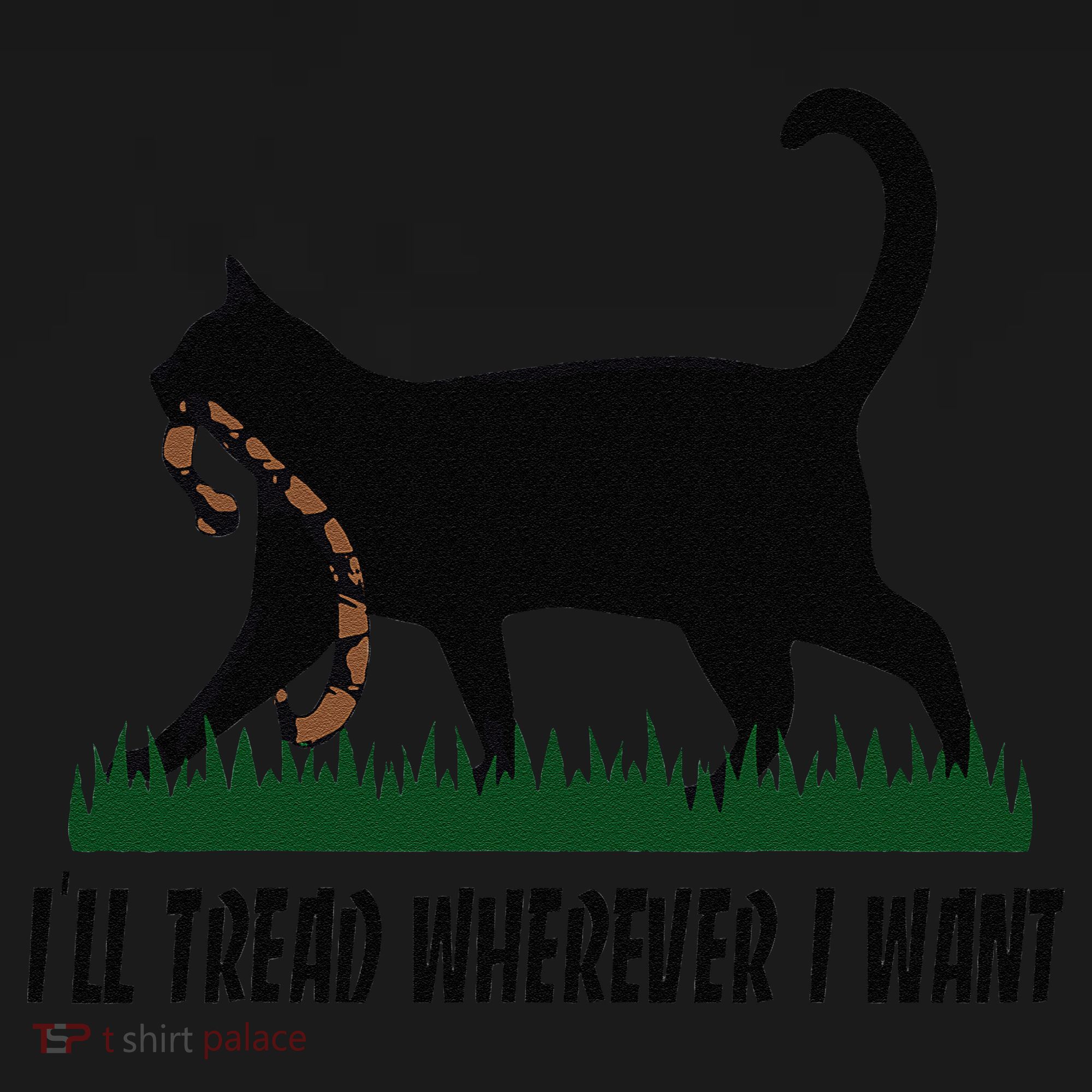 ILl Tread Wherever I Want Cat Ladies For Kamala Funny Gift Women's Hoodie