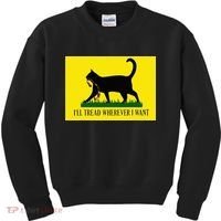 ILl Tread Wherever I Want Childless Cat Lady For Kamala Kids Sweatshirt thumb 0