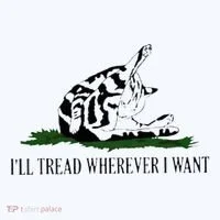 ILl Tread Wherever I Want Women's T-Shirt thumb 6