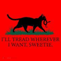 I’Ll Tread Wherever I Want Sweetie Cat Lady Santa Hat thumb 1
