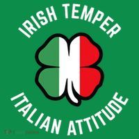Irish Temperr With An Italian Attitude Clover St Patrick Day Hoodie thumb 7