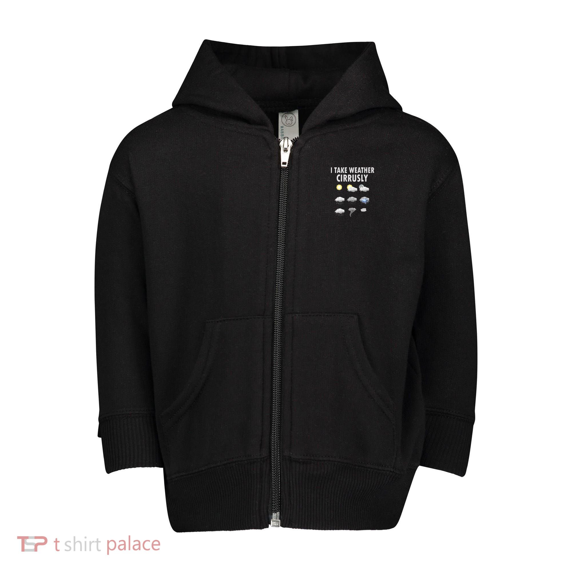 I Take Weather Cirrusly Meteorology Meteorologist Toddler Zip Fleece Hoodie