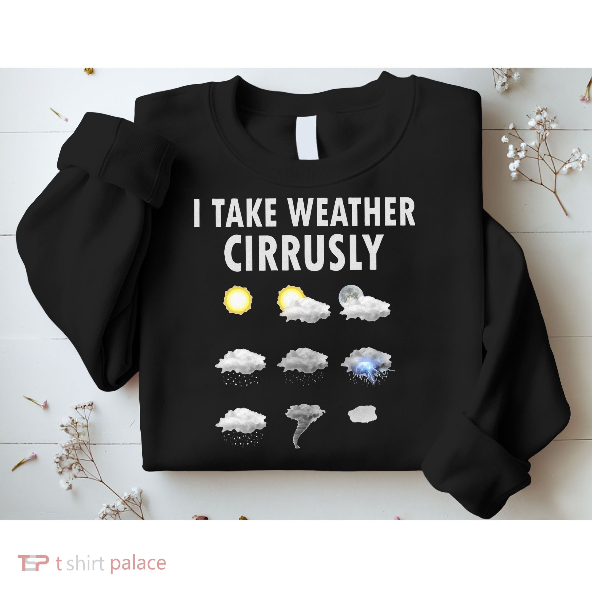 I Take Weather Cirrusly Meteorology Meteorologist Sweatshirt