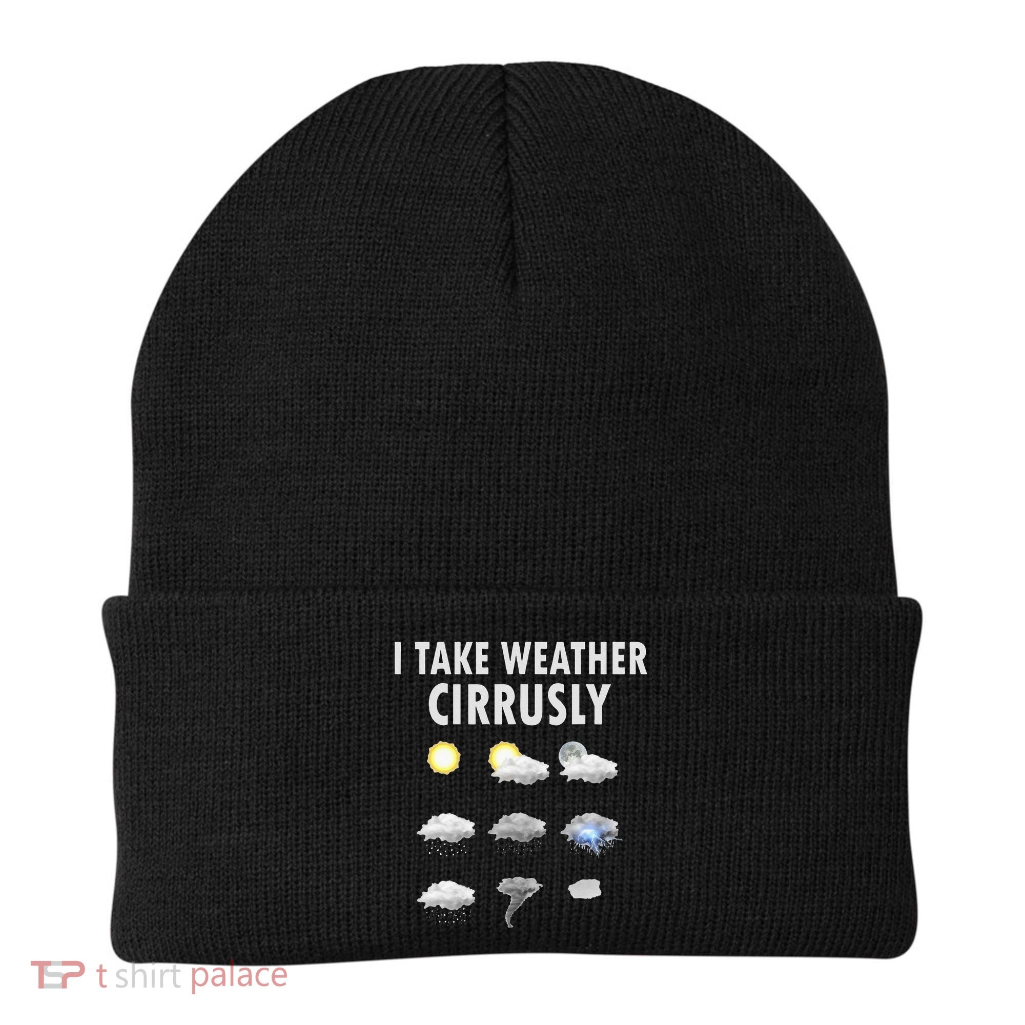 I Take Weather Cirrusly Meteorology Meteorologist Beanie