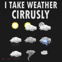 I Take Weather Cirrusly Meteorology Meteorologist Women's Hoodie thumb 2