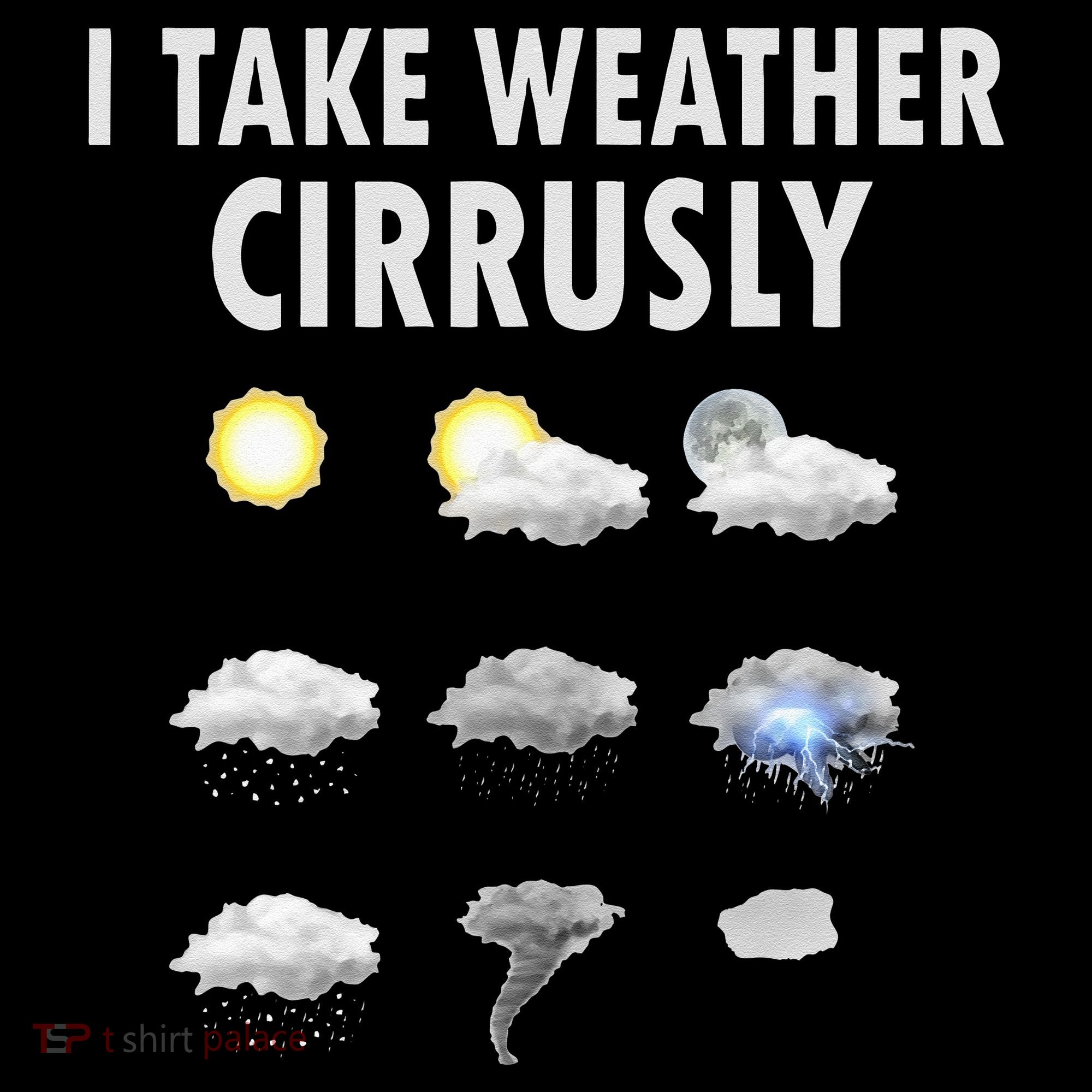 I Take Weather Cirrusly Meteorology Meteorologist Women's Hoodie