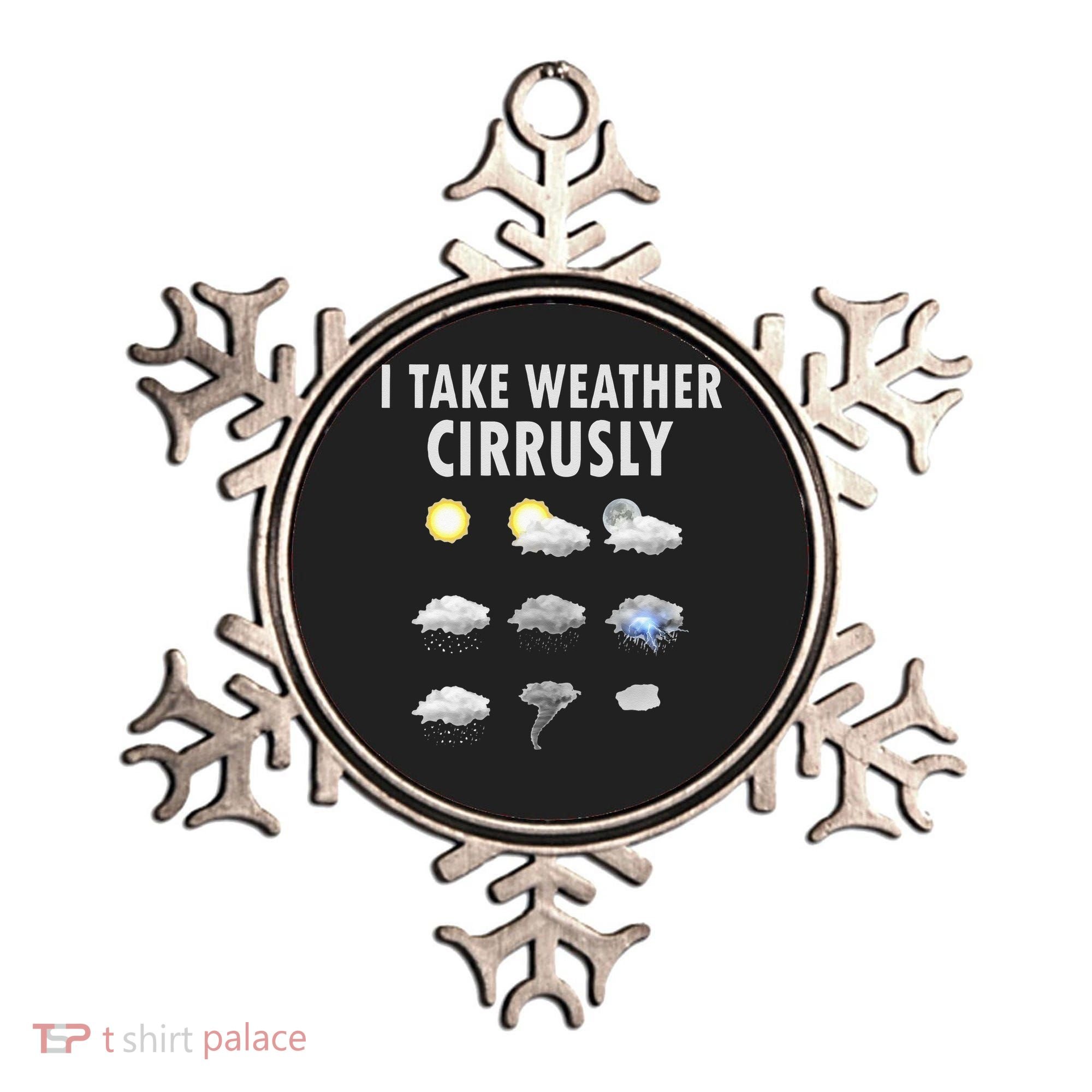 I Take Weather Cirrusly Meteorology Meteorologist Ornament