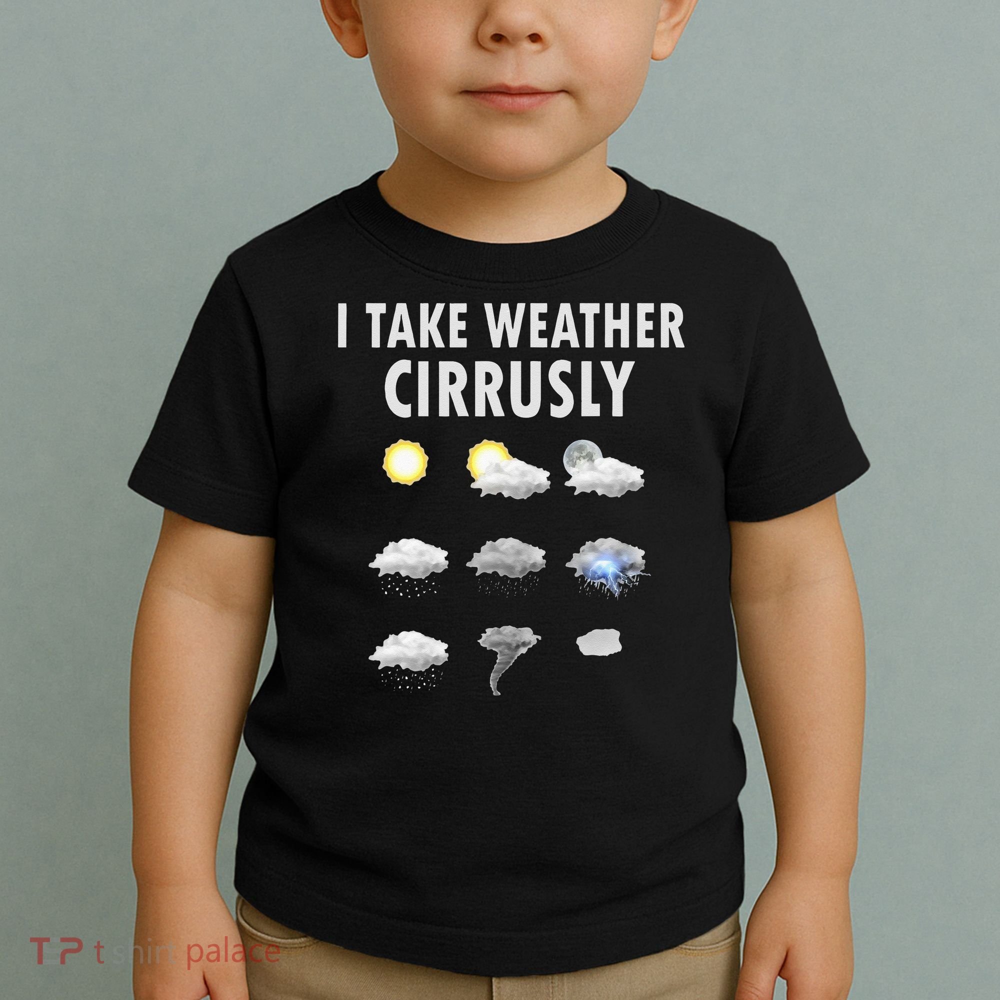 I Take Weather Cirrusly Meteorology Meteorologist Toddler T-Shirt
