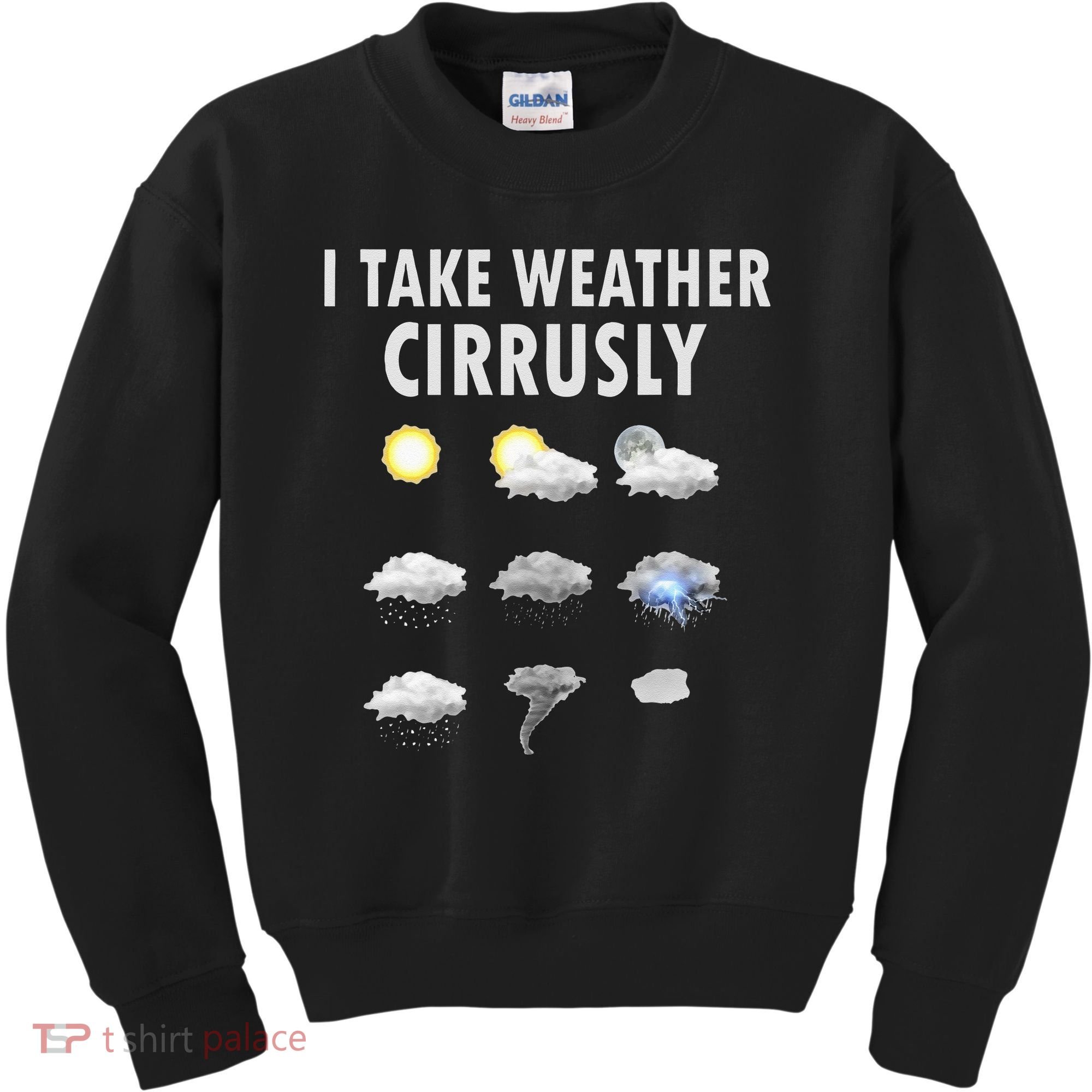 I Take Weather Cirrusly Meteorology Meteorologist Kids Sweatshirt