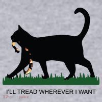 Ill Tread Wherever I Want Childless Cat Lady For Kamala Women's Sweatshirt thumb 2