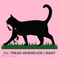 Ill Tread Wherever I Want Childless Cat Lady For Kamala Coaster thumb 2