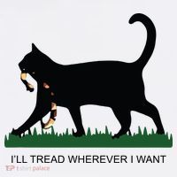 Ill Tread Wherever I Want Childless Cat Lady For Kamala Women's Tank Top thumb 5