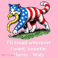 ILl Tread Wherever I Want Sweetie Coaster thumb 2