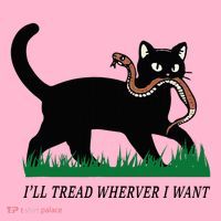 ILl Tread Wherever I Want Funny Cat Lover Coaster thumb 2
