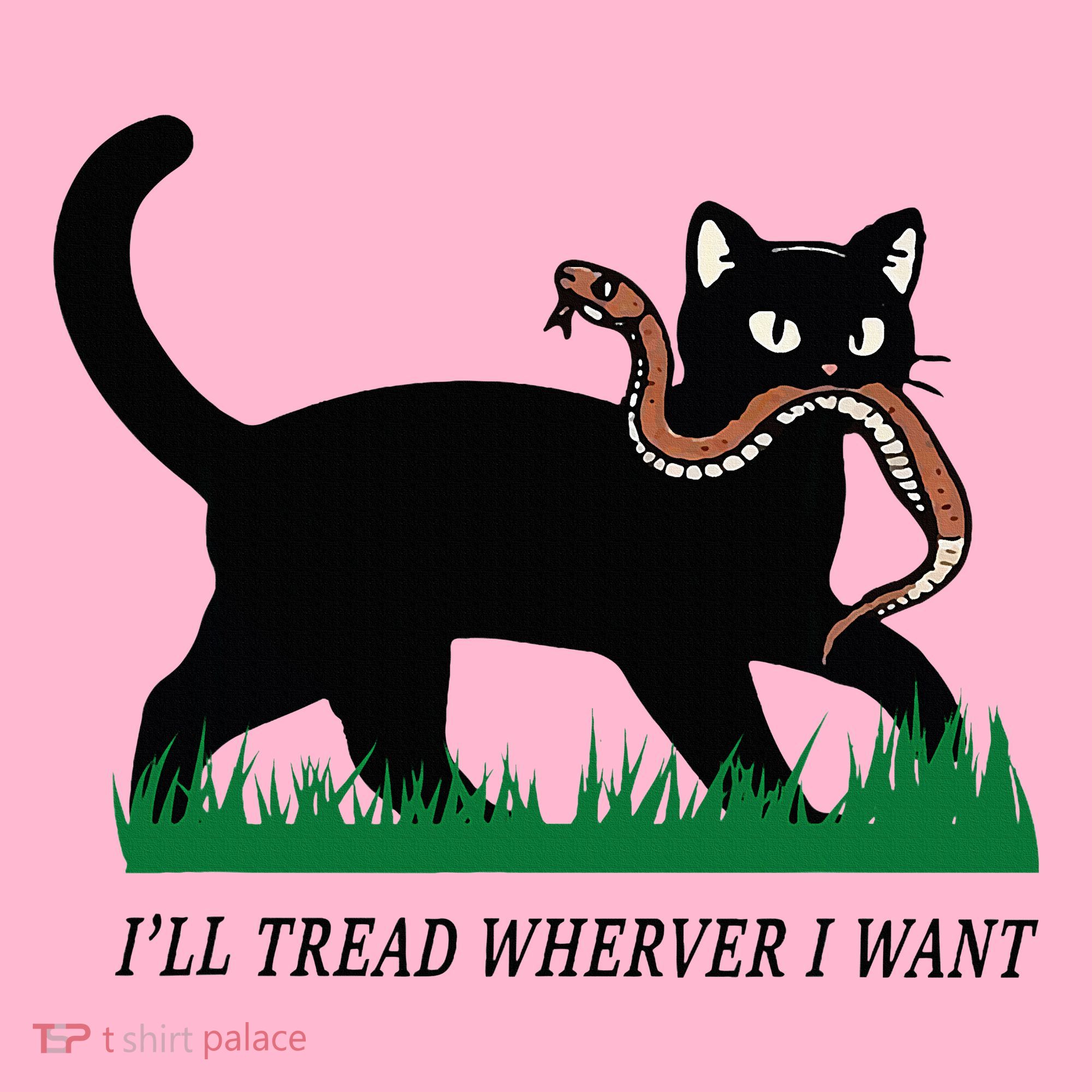 ILl Tread Wherever I Want Funny Cat Lover Coaster