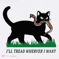 ILl Tread Wherever I Want Funny Cat Lover Women's Hoodie thumb 2
