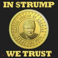 In $Trump We Trust Meme Coin Hat thumb 2