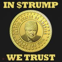 In $Trump We Trust Meme Coin Toddler Hoodie thumb 2