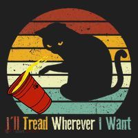 ILl Tread Wherever I Want Funny Cat Lover Beanie thumb 2