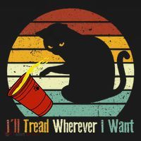 ILl Tread Wherever I Want Funny Cat Lover Women's Hoodie thumb 2