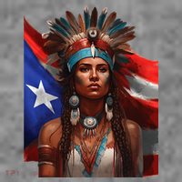 Indigenous Taino Woman Puerto Rican Flag Caribbean Toddler Hoodie thumb 2