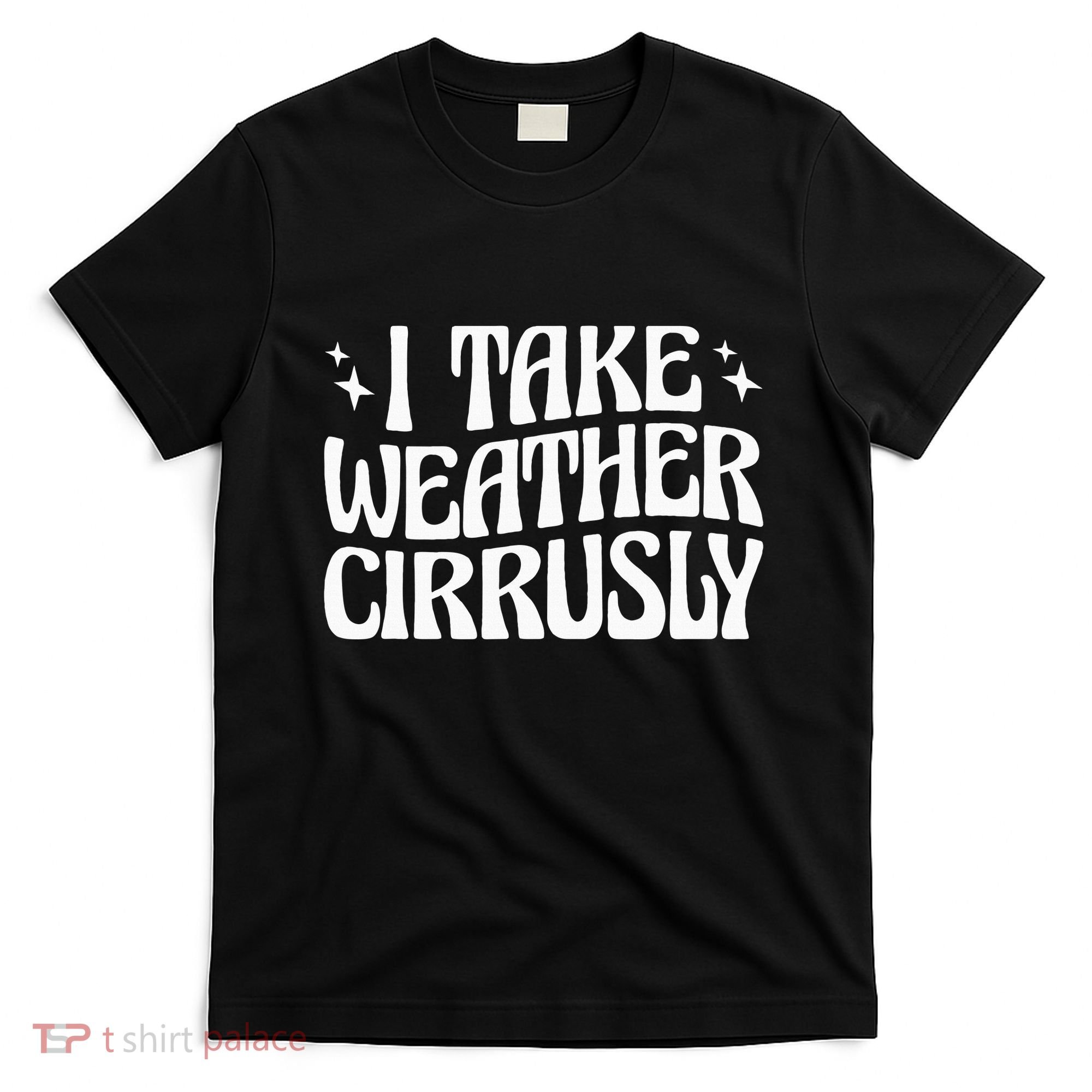 I Take Weather Cirrusly Meteorology Meteorologist T-Shirt