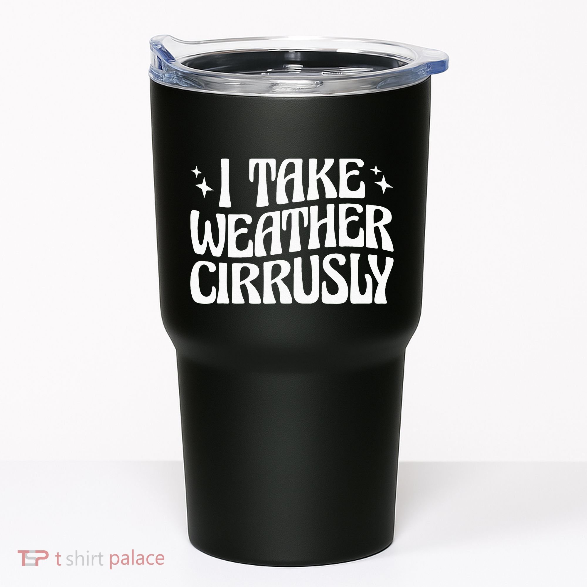 I Take Weather Cirrusly Meteorology Meteorologist Tumbler