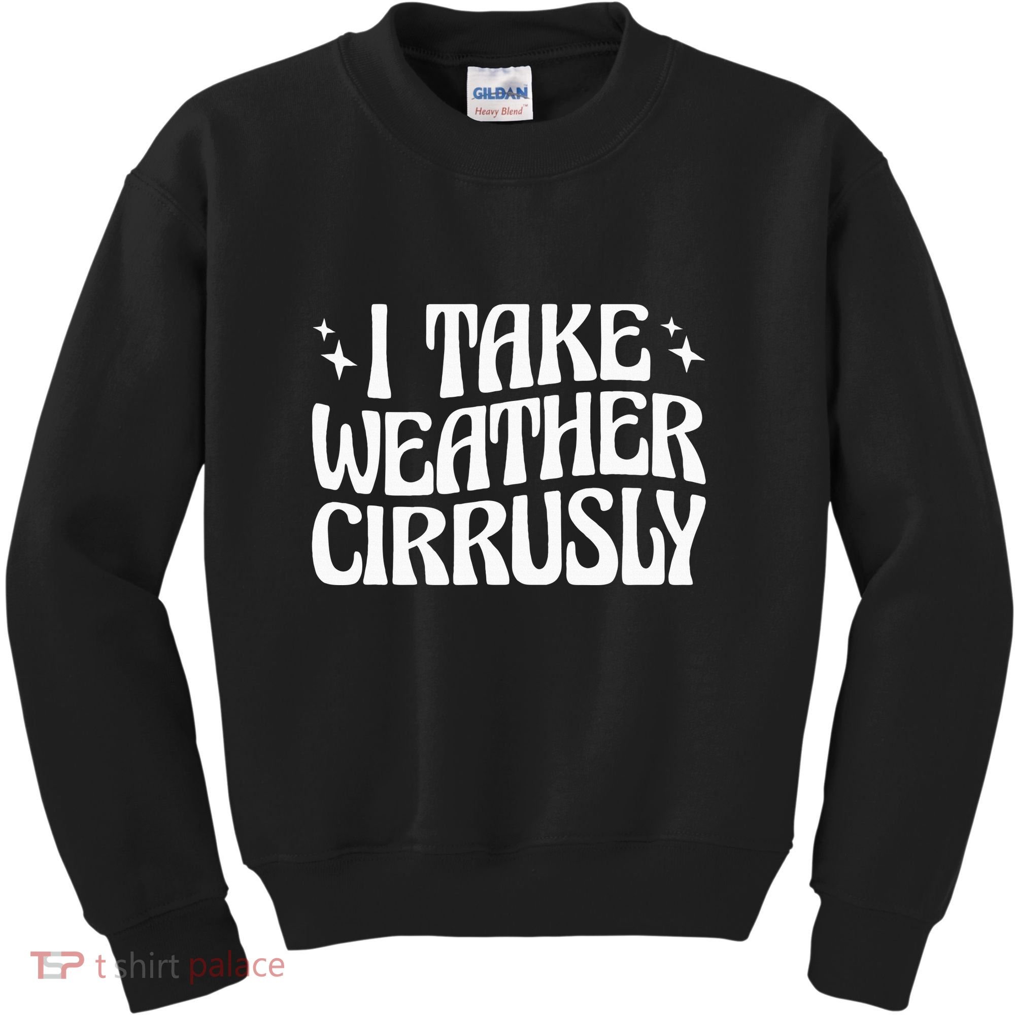 I Take Weather Cirrusly Meteorology Meteorologist Kids Sweatshirt