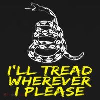 ILl Tread Wherever I Please Rattlesnake Women's Hoodie thumb 2