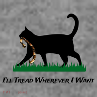 ILl Tread Wherever I Want Toddler Hoodie thumb 2