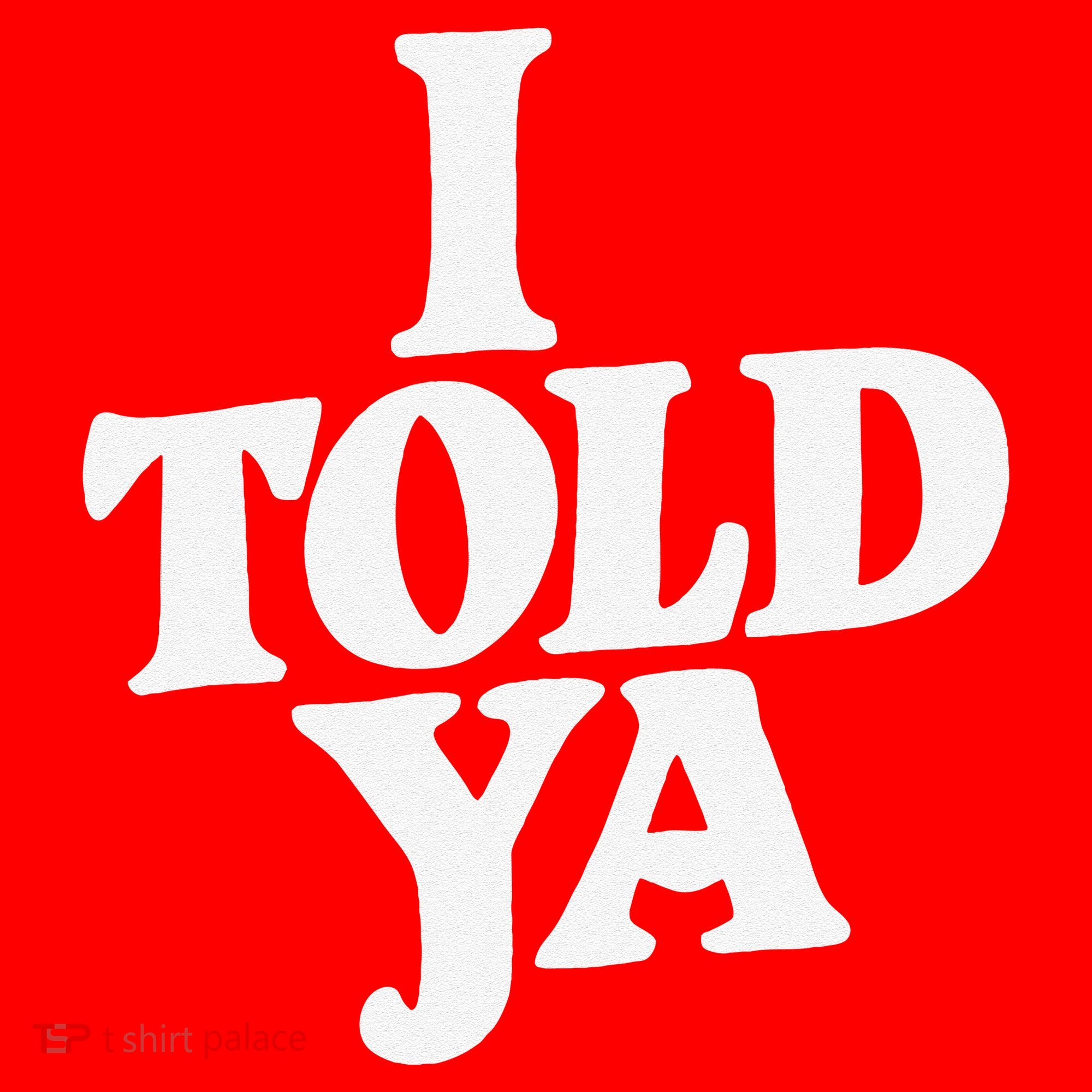 I Told Ya Funny Santa Hat