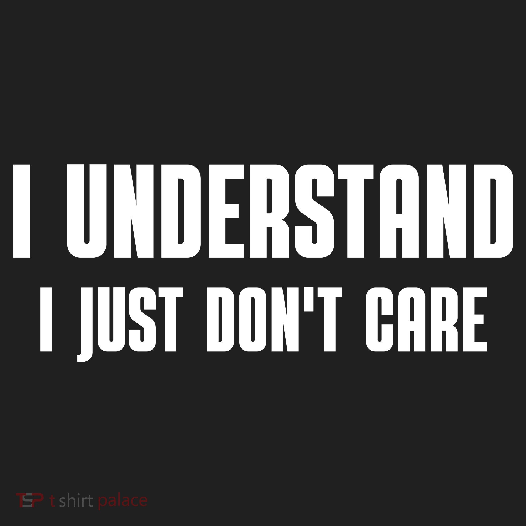I Understand I Just Don't Care Funny Hat