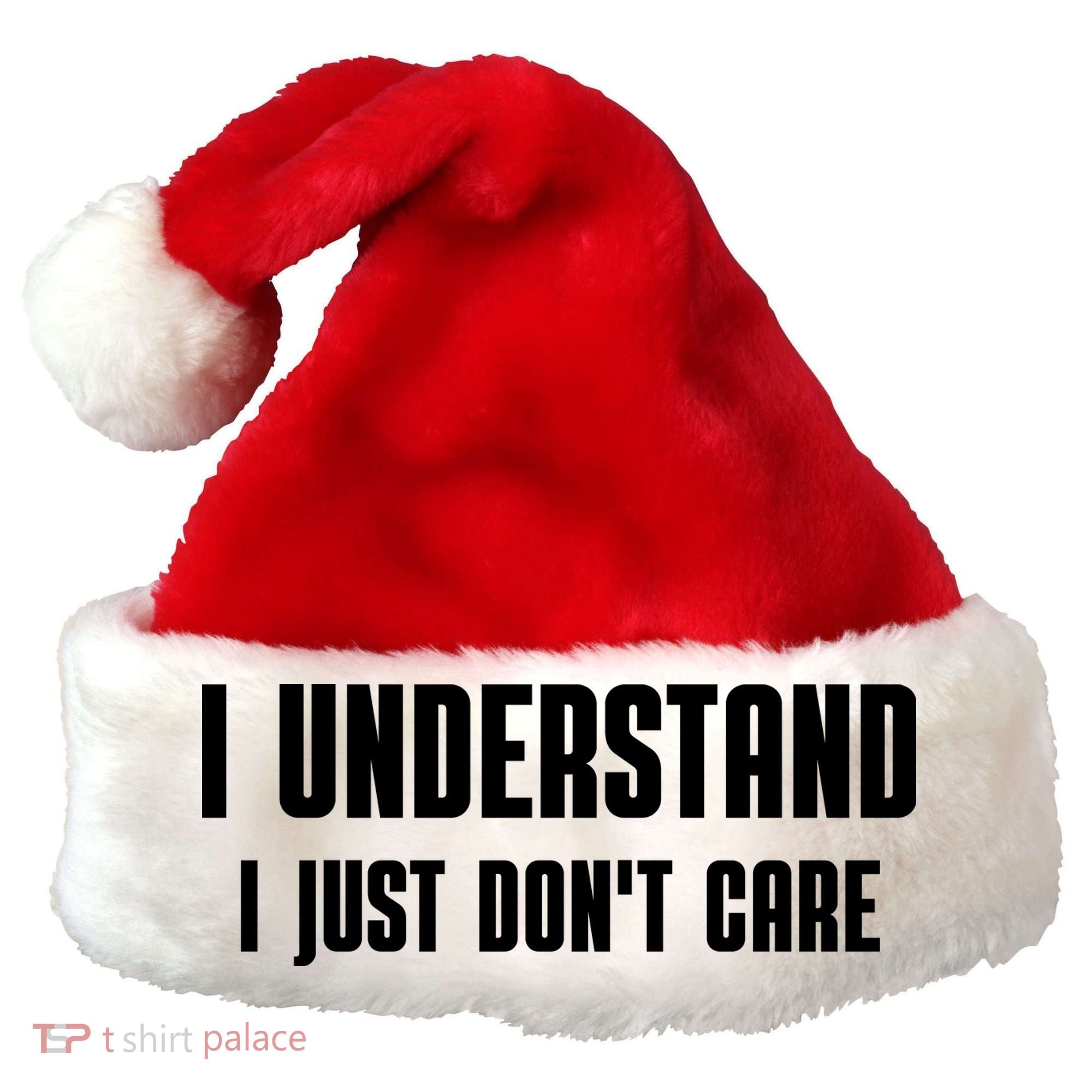 I Understand I Just Don't Care Funny Santa Hat