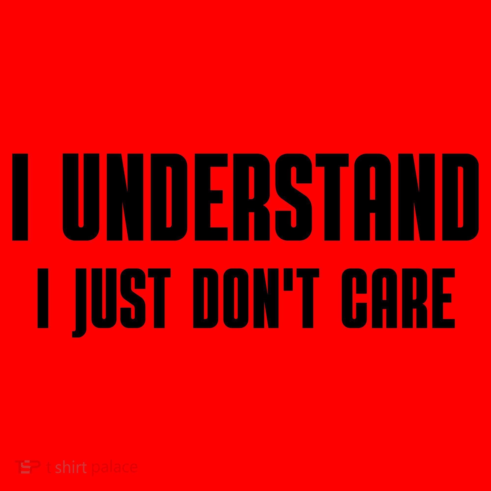 I Understand I Just Don't Care Funny Santa Hat