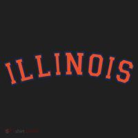 Illinois Usa Patriotic Birthday School University Gift Women's Sweatshirt thumb 2