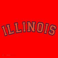 Illinois Usa Patriotic Birthday School University Gift Santa Hat thumb 1
