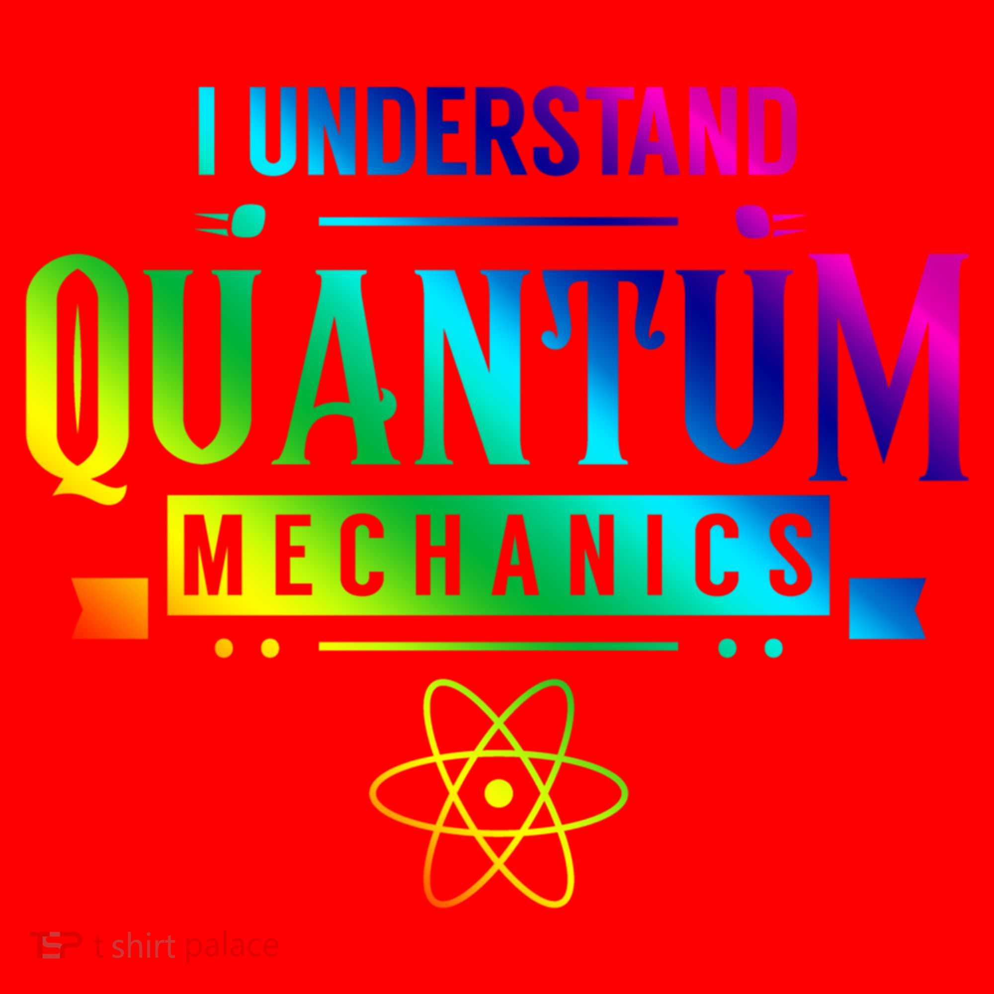 I Understand Quantum Mechanics Scientist Physicist Physics Gift Santa Hat