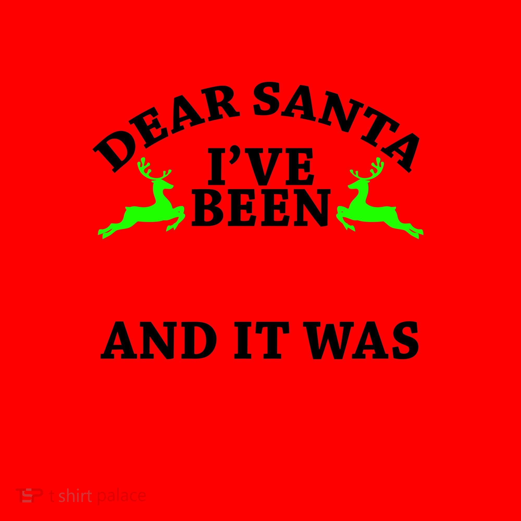 I've Been Naughty And It Worth it Santa Hat