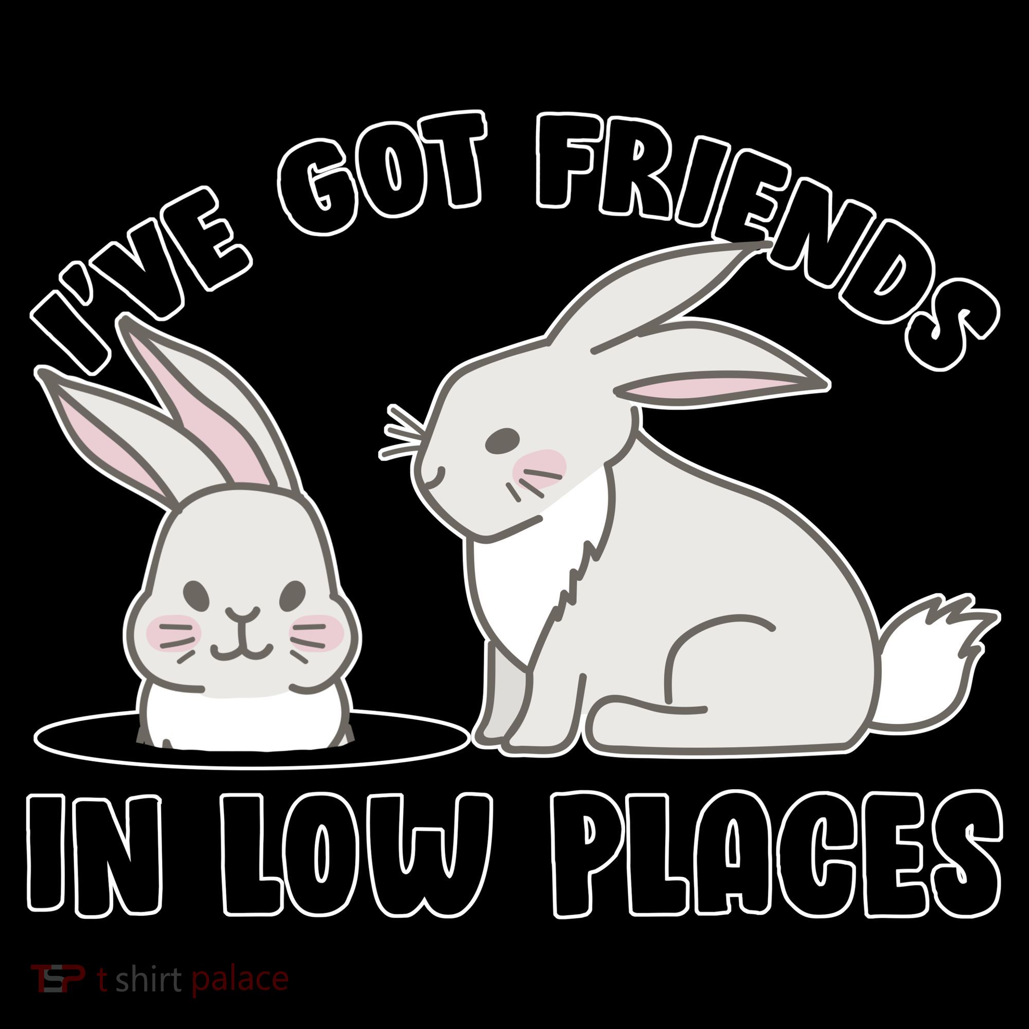 I've Got Friends In Low Places Women's Hoodie