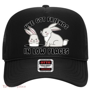 I've Got Friends In Low Places Hat