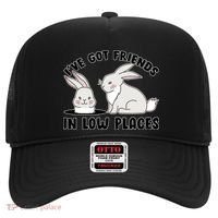 I've Got Friends In Low Places Hat thumb 0