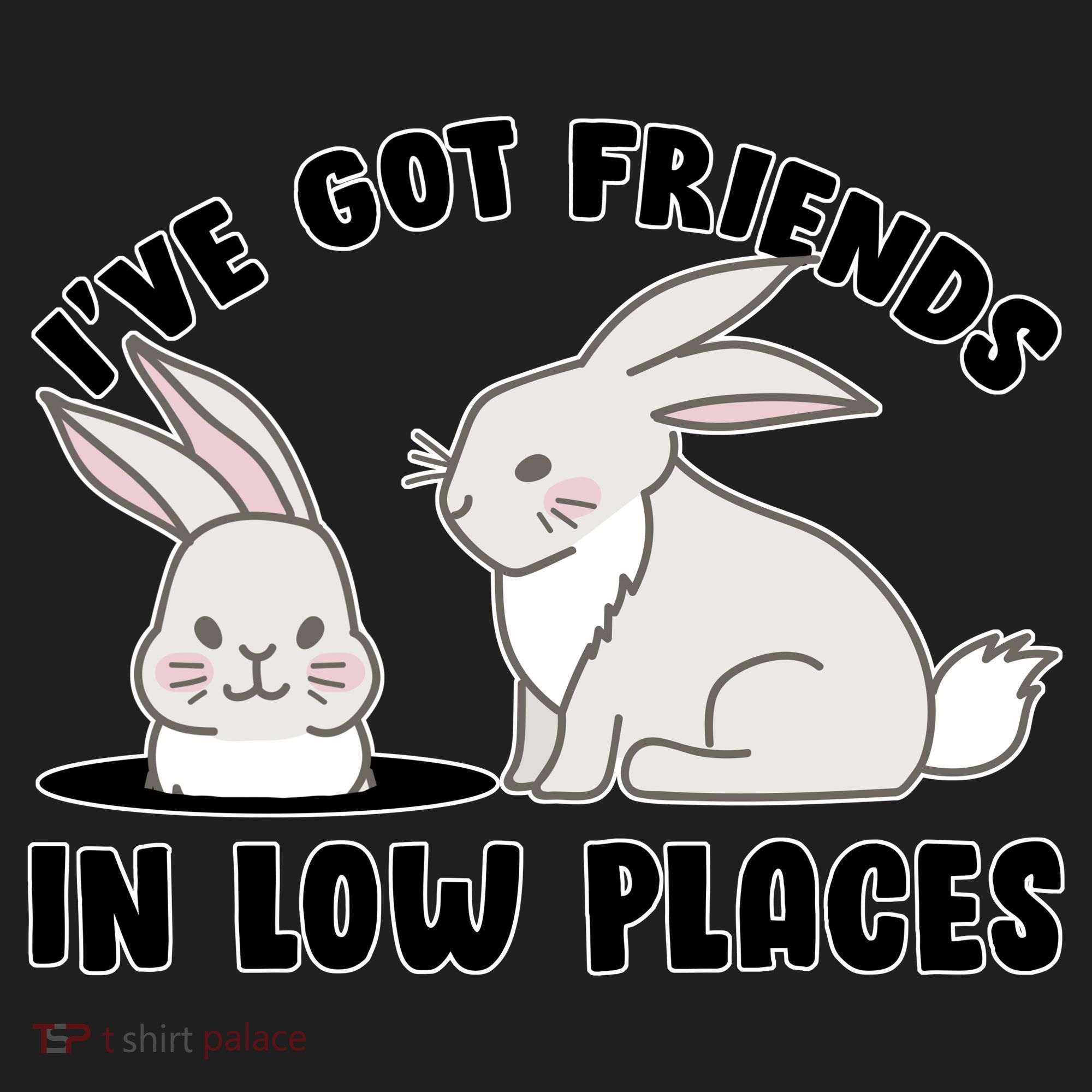 I've Got Friends In Low Places Hat