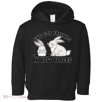 I've Got Friends In Low Places Toddler Hoodie