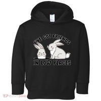 I've Got Friends In Low Places Toddler Hoodie thumb 0